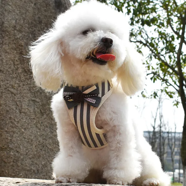 강아지용품 강아지 애견목줄 조끼스타일 소형견 포메라니안 리드줄 푸들 애완동물 개줄 여름 용품 T08 공형 그레이 스트라이프 1.2베이지 편승 C04 L10 14