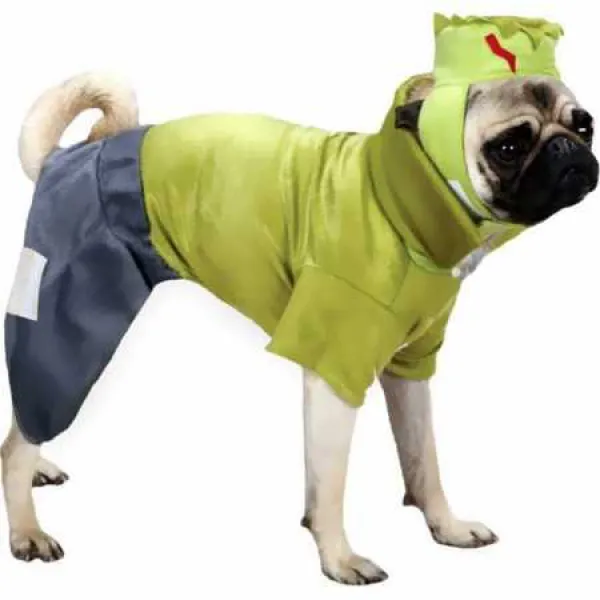 Casual Canine Frankenhound Costume Medium 캐쥬얼 송곳니 프랑켄 하운드 의상 보통, 1