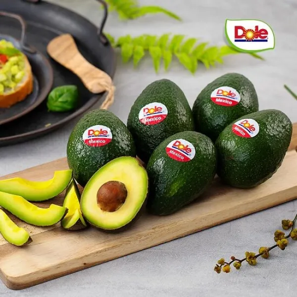 [Dole 본사직영] 페루산 아보카도 1.7kg내외 (총8-10과), 단품
