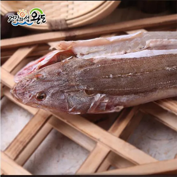 [산지직송] 완도 국내산 자연산 반건조 양태40cm 제수용 제사생선 마른 양태 장대, 1마리, 450~480g