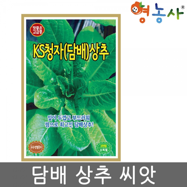 담배상추씨앗 3000립 상추씨앗 쌈채소 씨앗 채소 종자