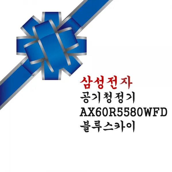 삼성전자 삼성 공기청정기 블루스카이 AX60R5580WFD