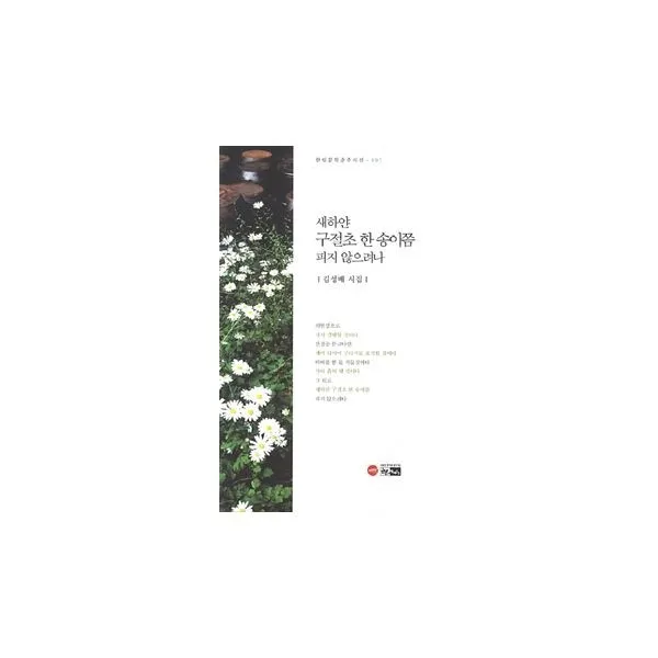 밀크북_2 새하얀 구절초 한 송이쯤 피지 않으려, One color | One Size@1