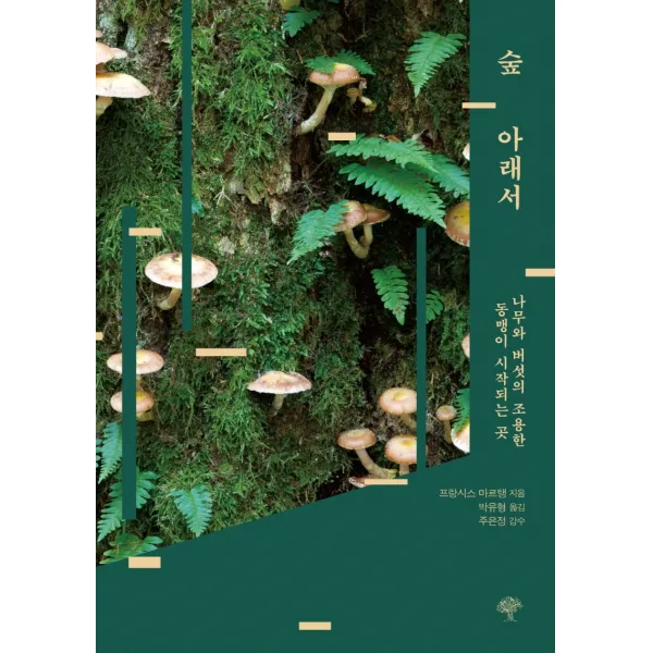 숲 아래서:나무와 버섯의 조용한 동맹이 시작되는 곳, 프랑시스 마르탱, 돌배나무