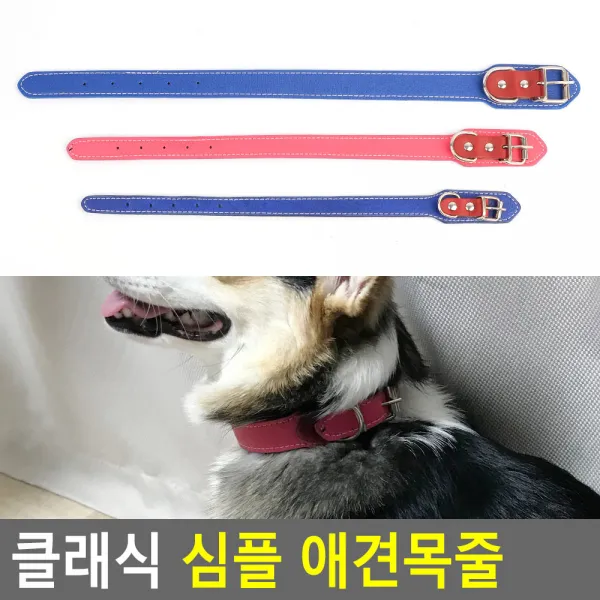 37 가람통상 / FB 클래식 심플 애견목줄 클래식 심플 애견목줄 애견목줄 애묘목줄 강아지목줄 반려동물목줄 심플목줄 강아지인식표 애견산책줄 강아지리드줄 덴탈껌, 소