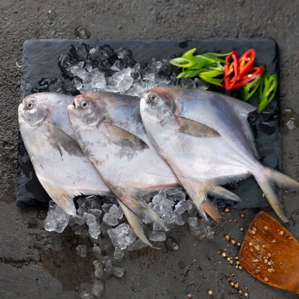  메가마트 병어 대/해동 3마리 1개