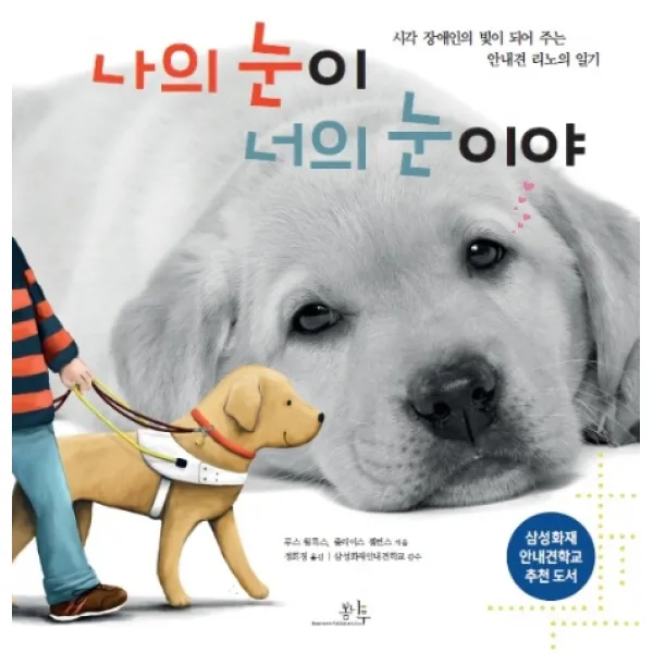 나의 눈이 너의 눈이야:시각 장애인의 빛이 되어 주는 안내견 리노의 일기 봄나무