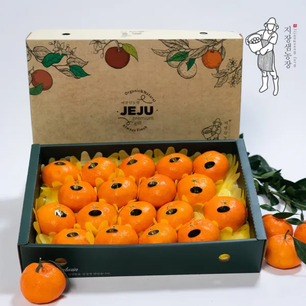 제주도 레드향 선물세트 가정용 2kg 3kg 5kg 고당도 제철과일 당일수확 산지직송, 1box, 레드향 가정용 3kg 중소과(18과내외)