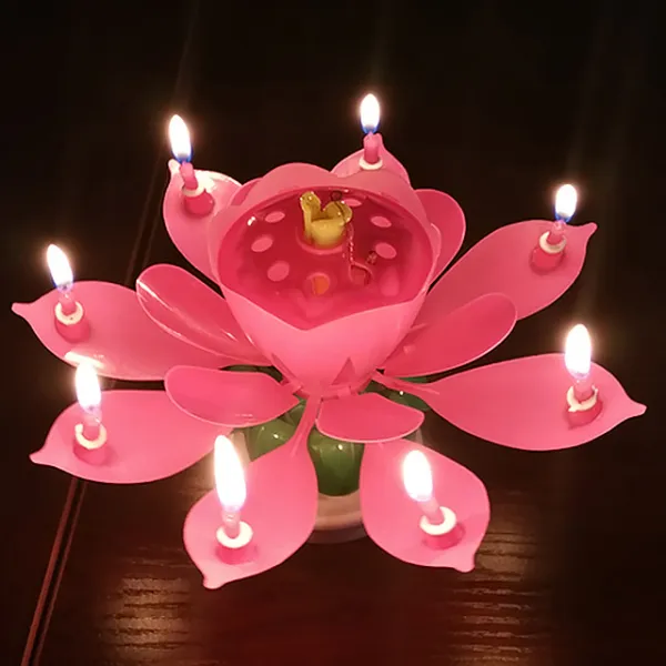 디온리원 자동 개화 연꽃초, 핑크, 1개입