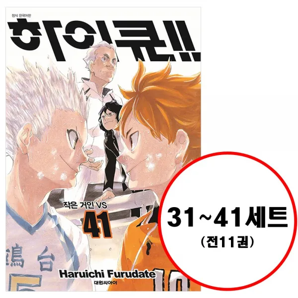 (전11권) 만화 하이큐 세트 31-41