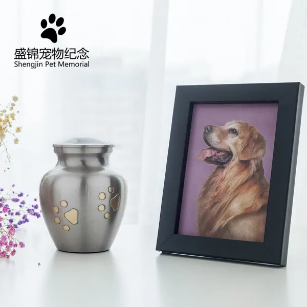 강아지 고양이 햄스터 토끼 숏 사랑 애완동물 펫 안락사다 별세 기념 품유골 맡기다 작은 상자 모양의 물건 독 엘로우 균일