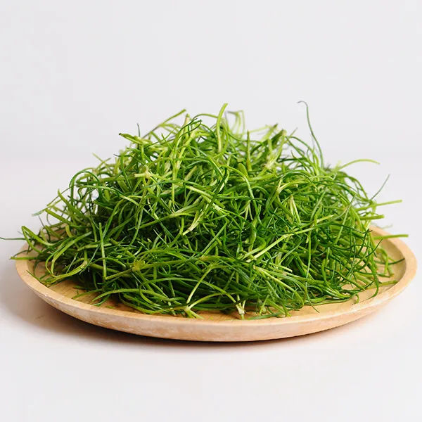 봄나물 세발나물 500g