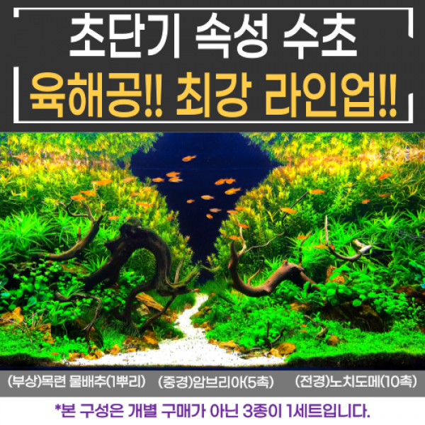 [비바소녀] 부상+중경+전경 3종(16촉)을 한 번에 세팅!! 초보수초 구피 새우 어항수초