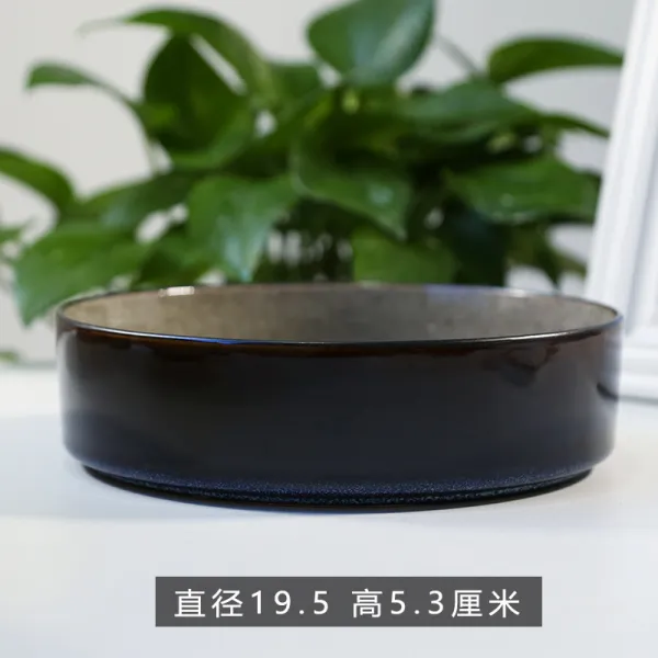 동전 풀 화분 수선화 수련 그릇 연 무 돈 도자기 물 양수배 다 고기, 투명 QC3408내그린 빅