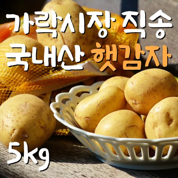 [당일가락시장경매] 국내산 감자 포슬 햇감자 수미감자 두백감자 저장감자 5kg 20kg, a-1.햇감자 5kg (대)