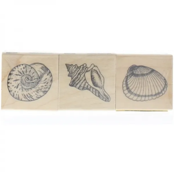 SEASHELLS (3 개 세트) 고무 도장, 단일상품, 단일상품
