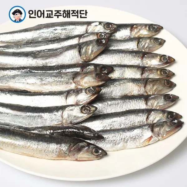 인어교주해적단 기장 생멸치 500g 1kg, 1개, 횟감용 생 멸치 1kg