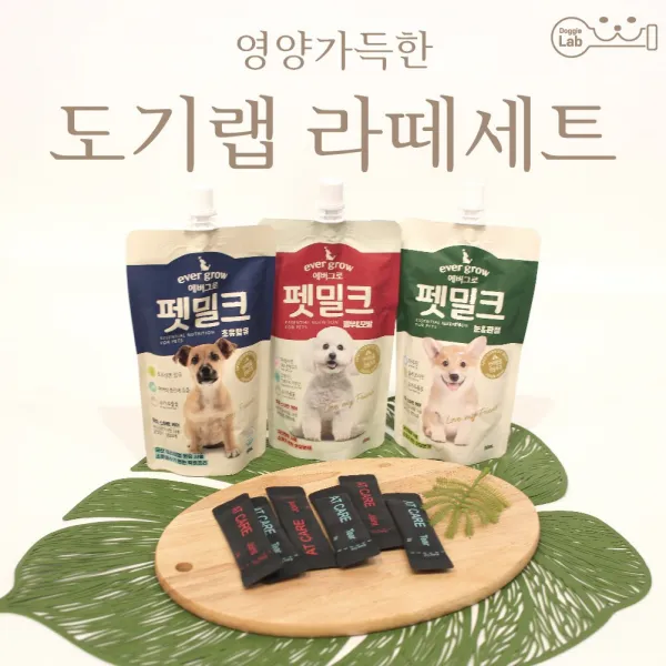 에버그로 펫밀크 에이티케어 곤충 단백질 영양제 강아지 관절 피부 관리 라떼 A세트, 펫밀크 3종 + 관절 영양제