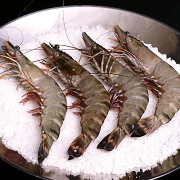 베트남 블랙 타이거 새우 10미 500g새우 홍새우 아마에비 노바시새우 냉동새우 식자재 탈각새우, 블랙타이거10미+아이스팩