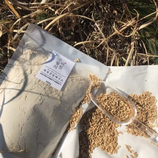 구월의아침 쪄서볶은 귀리분말쉐이크 1kg 미숫가루 선식, 500g, 2팩
