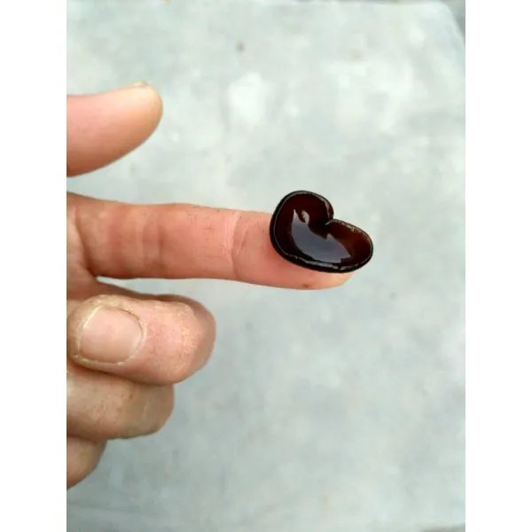 귀마개 건조물 1근 농가 작은나무 500g목이버섯 가방 토산품