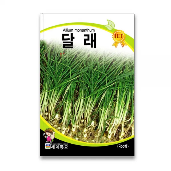 모칸도 (무배) 세계 달래씨앗 400립