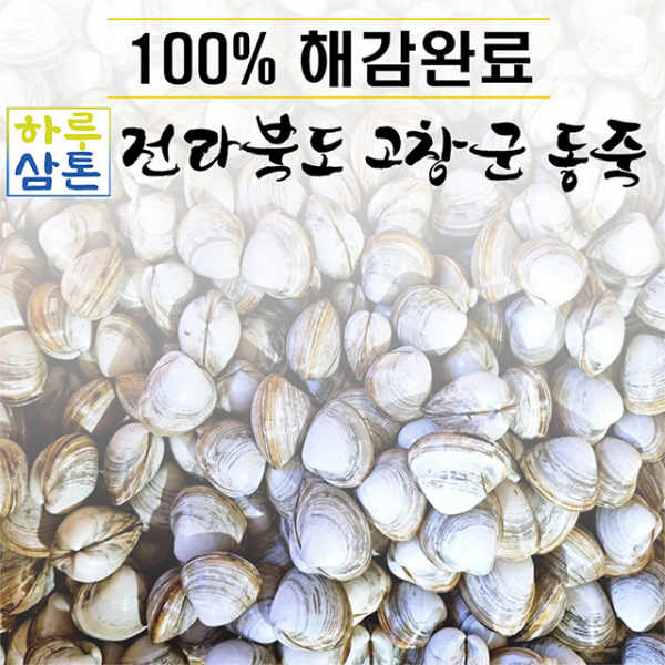(당일배송)고창 동죽 3kg (해감완료)