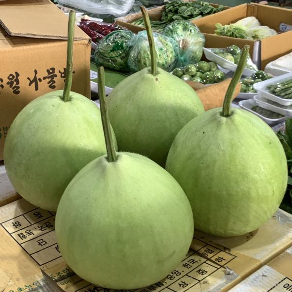 원동FS 국내산 나물박 1개