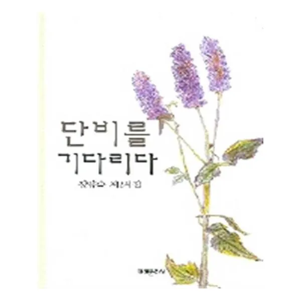 단비를 기다리다