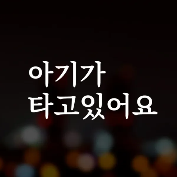 윈스턴 초보운전 아이가타고있어요 아이먼저 극한초보 차량스티커 40종, 1개, 8.명조-아기-블랙