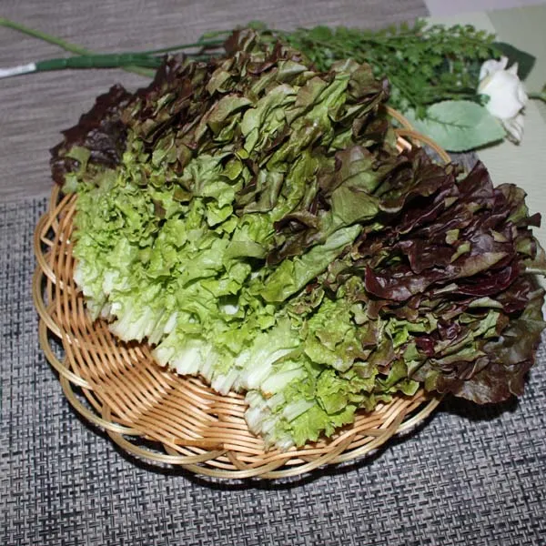 적상추4kg1박스 자연대로팜웨이, 적상추4kg 1박스