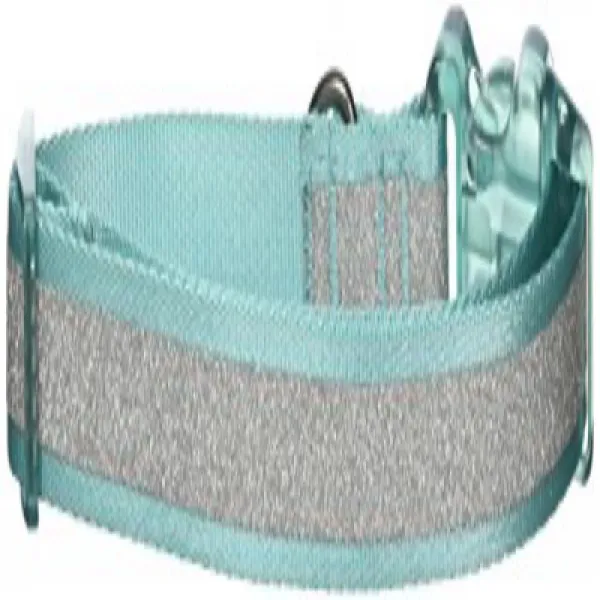 Bow Arrow Adjustable Nylon Dog Collar with Sparkly Silver Glitter Stripe Teal Large 활 화살 가변 반짝이는, 1