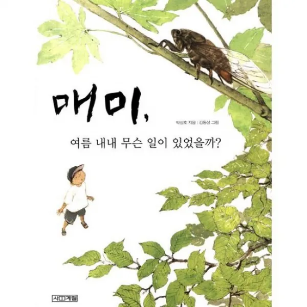 매미 여름 내내 무슨 일이 있었을까?