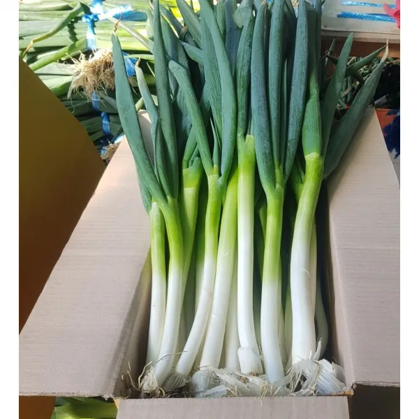 국내산 대파 손질대파 5kg /3kg, 3kg