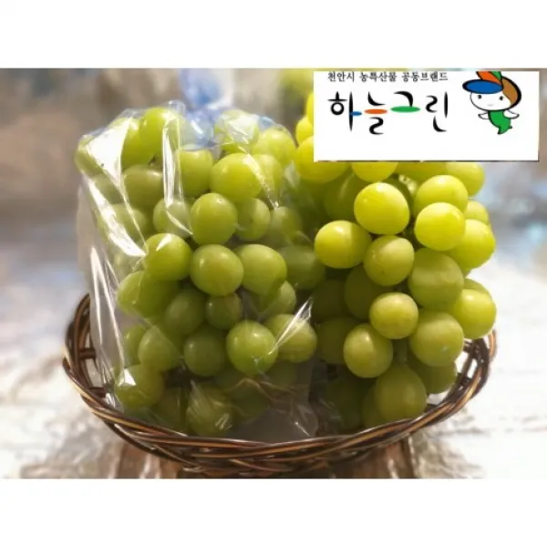 천안 명품 농민 직판 거품 쫙 뺀 GAP인증 포도의 여왕 샤인마스캇 당도 18~20브릭스 2kg 4kg 가성비 100%( 망고포도 에어팩포장 터지면 100%보상 )