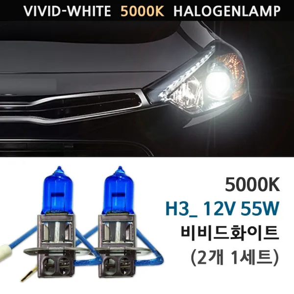 웰라이트 5000K 비비드화이트 자동차 화이트램프 슈퍼화이트 전조등 안개등 상향등 하향등, 비비드화이트 H3 12V55W