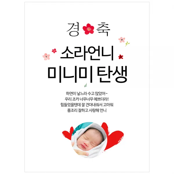 [이벤트버스] 미니미탄생 C287 출산축하현수막 득남득녀 산모선물