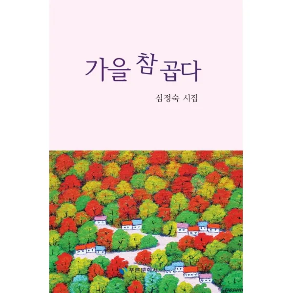 가을 참 곱다:심정숙 시집, {