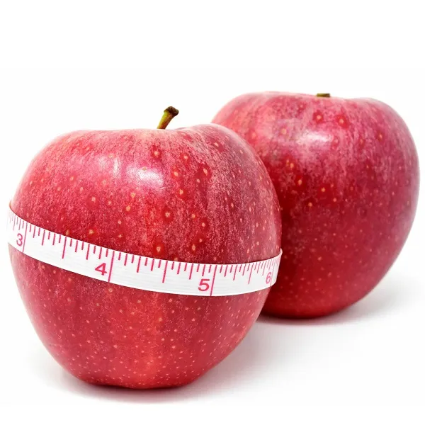보조개 흠집 사과 10kg (충북 제천), 단일상품