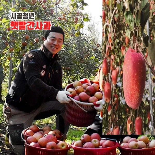 시골청년 아삭하고 달콤한 부사 흠집사과 1box 4kg 소과 18 30과 