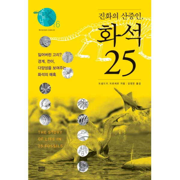 진화의 산증인 화석 25:잃어버린 고리? 경계 전이 다양성을 보여주는 화석의 매혹, 뿌리와이파리