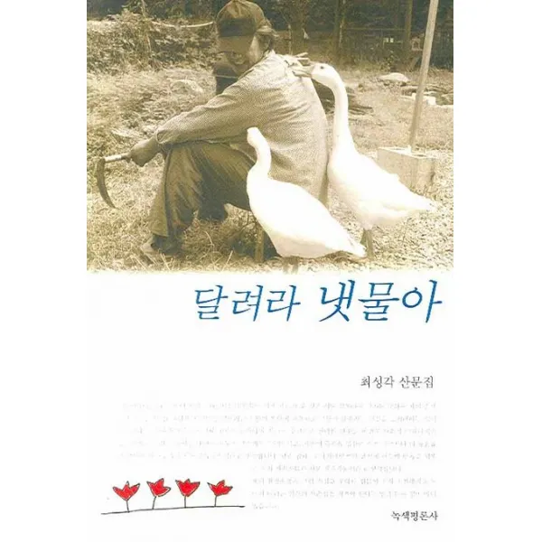 달려라 냇물아:최성각 산문집, 녹색평론사