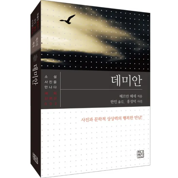 데미안:사진과 문학적 상상력의 행복한 만남!, 청년정신