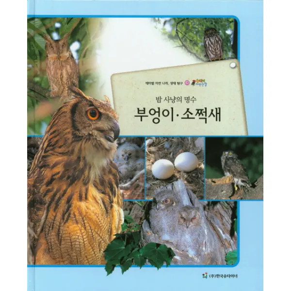밤 사냥의 명수 부엉이 소쩍새:테마별 자연 나라 생태 탐구, 한국슈타이너