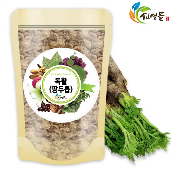 신영몰 독활 300g 국산 땅두릅 땃두릅, 1봉