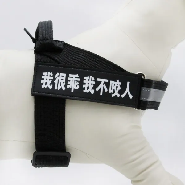 Mar.20 176번 강아지 가슴 멜빵 견인줄 덕목 조끼형 말견 사모예 용품 대형 중형견 산책용 목줄 체인z S 12 25 근 블랙 사계절 가 벼 운 라인 안 어 울 려 요.