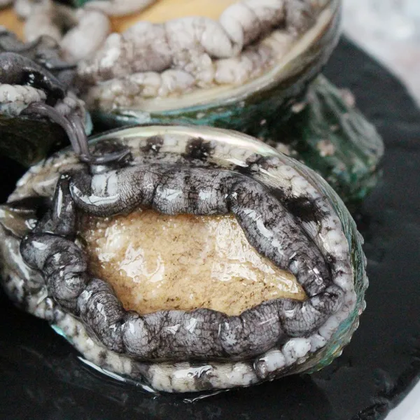  산지직송 완도 활 전복 1kg 전복 대 1kg 9 10미 