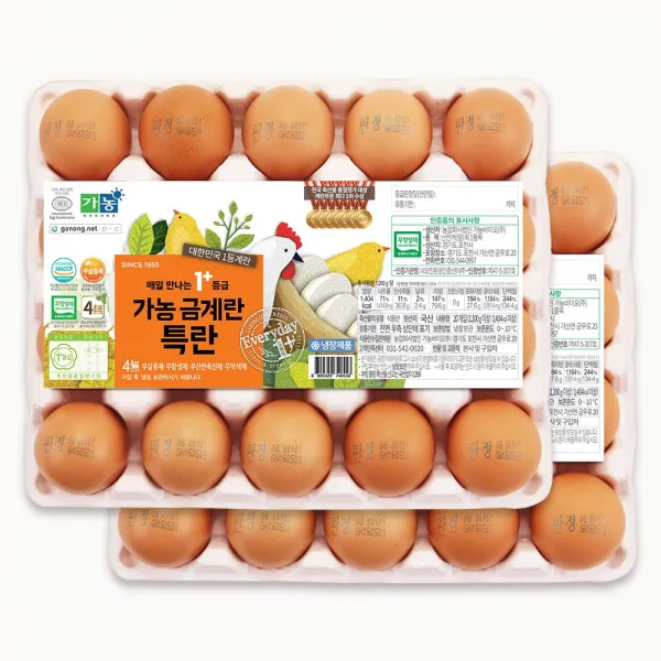 가농 금계란 1+등급 특란(당일산란 당일발송), 40개, 60g