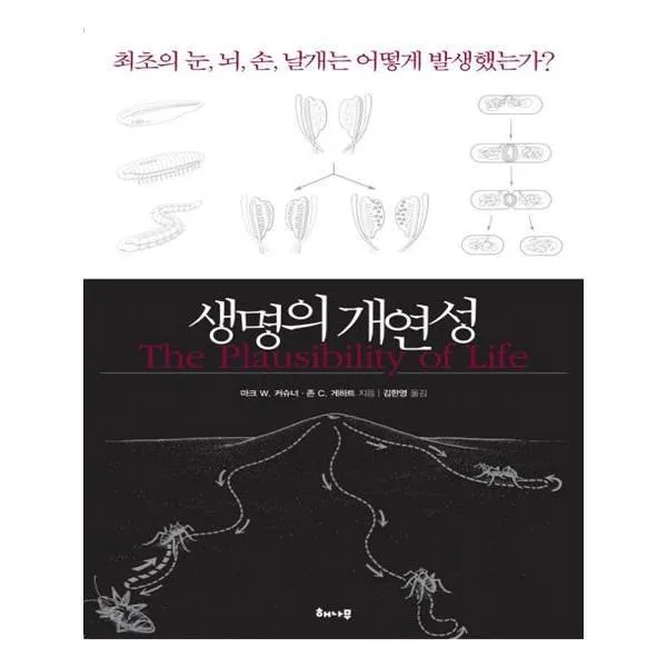 유니오니아시아 생명의 개연성