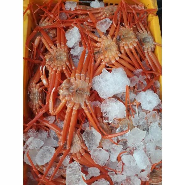 <후포리홍게> 가성비최고! 후포리홍게 3kg 10~15미 17 900원!! 홍게자숙 찜 